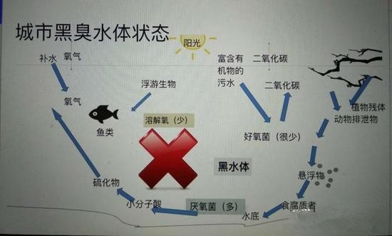 江蘇億元投資治污新技術(shù) 石墨烯能否治理黑臭水體？