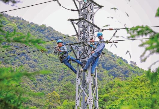 廣東電網(wǎng)肇慶供電局對159條故障高發(fā)線路開展全面改造升級專項(xiàng)行動