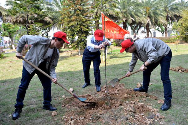 國家能源集團雁石公司組織開展義務(wù)植樹活動