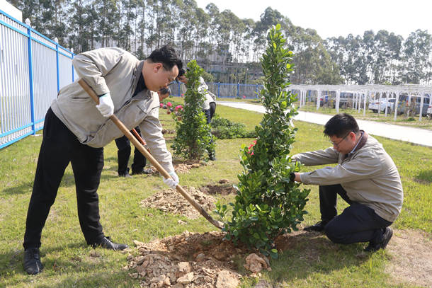 國能（泉州）熱電有限公司開展植樹活動(dòng)共建美好家園