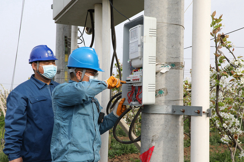 國網(wǎng)諸城市供電公司電力足，千畝梨園花正濃