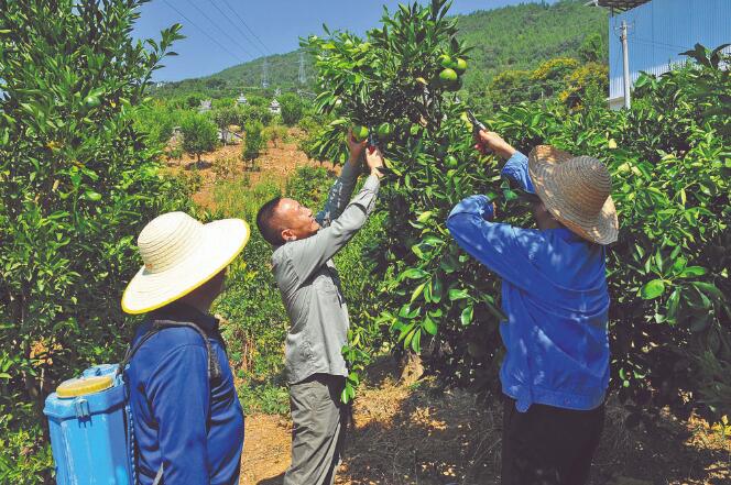 王國洲：把村事當家事，把村民當親人