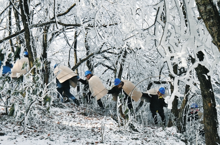 【新春滿能量 央企“不打烊”】“披氈戰(zhàn)隊”冰山護電