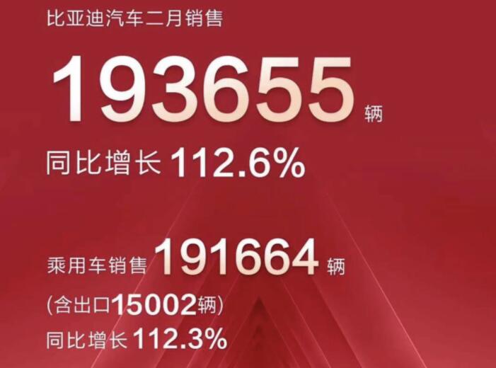 2月新能源車企成績(jī)單出爐，比亞迪一騎絕塵