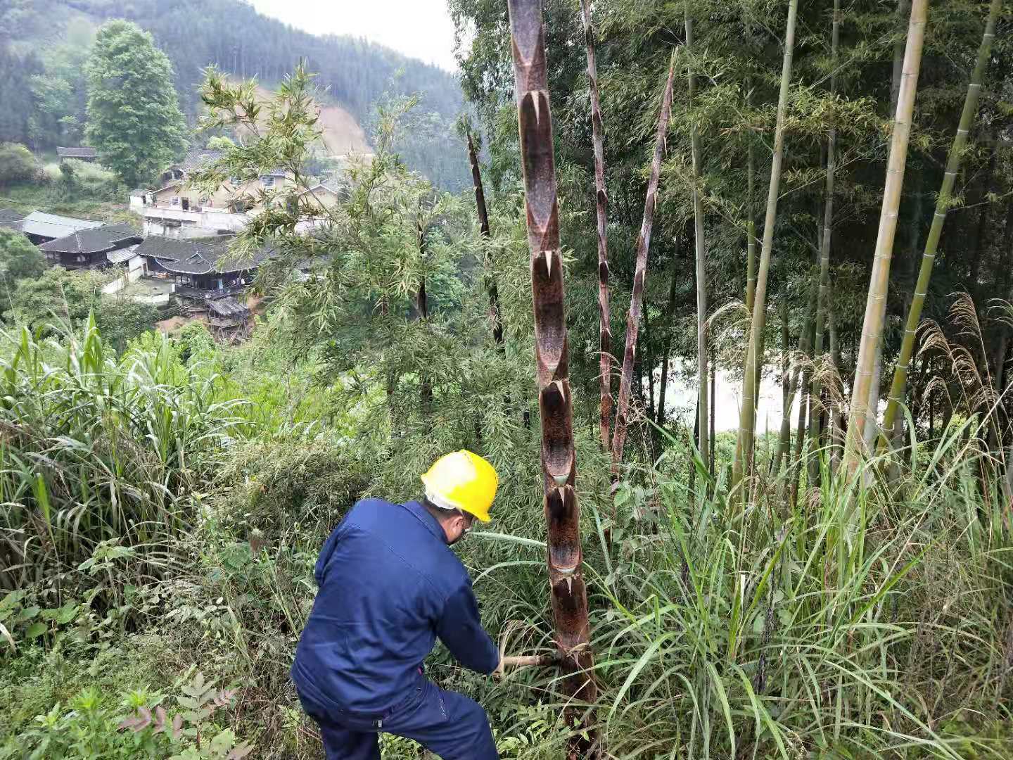 國網中方縣供電公司春檢砍青忙 線路通道暢