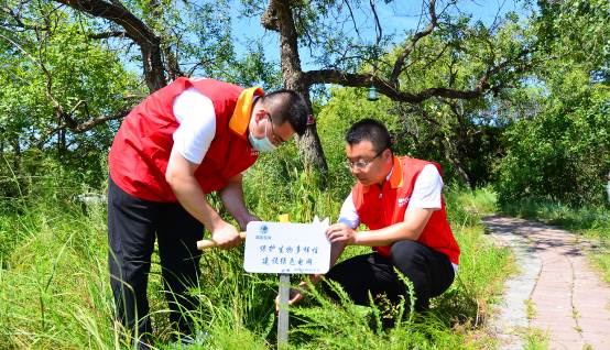 國網(wǎng)蒙東興安供電公司“電力+生態(tài)”為濕地綠色發(fā)展賦能