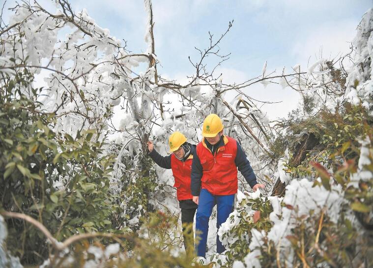 國網浙江省電力有限公司：黨旗飄揚一線 戰(zhàn)寒潮保供電