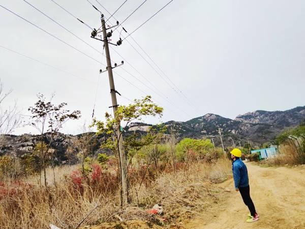 國(guó)網(wǎng)青島供電公司開展線路巡視和鳥巢清理工作